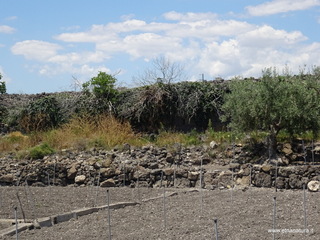 Mura Dionigiane Adrano
